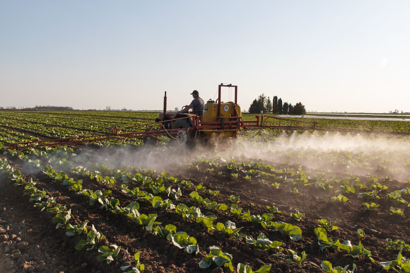 Can AI Predict Better Fertilizer Prices Than Traditional Models?
